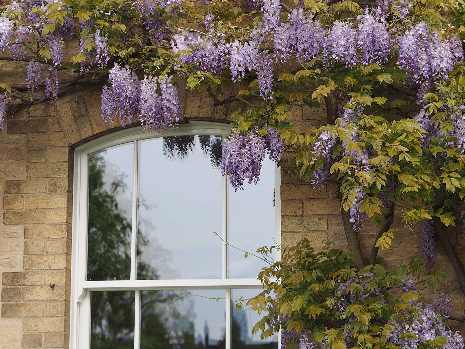 sash windows panoramic